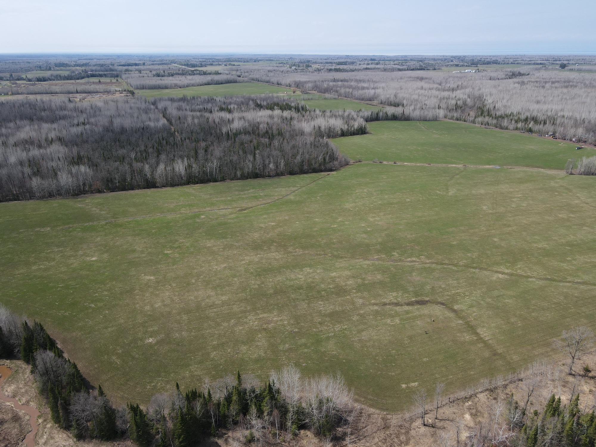 11-tbd Gulley Road Maple, WI 54854 - Photo 14 of 43