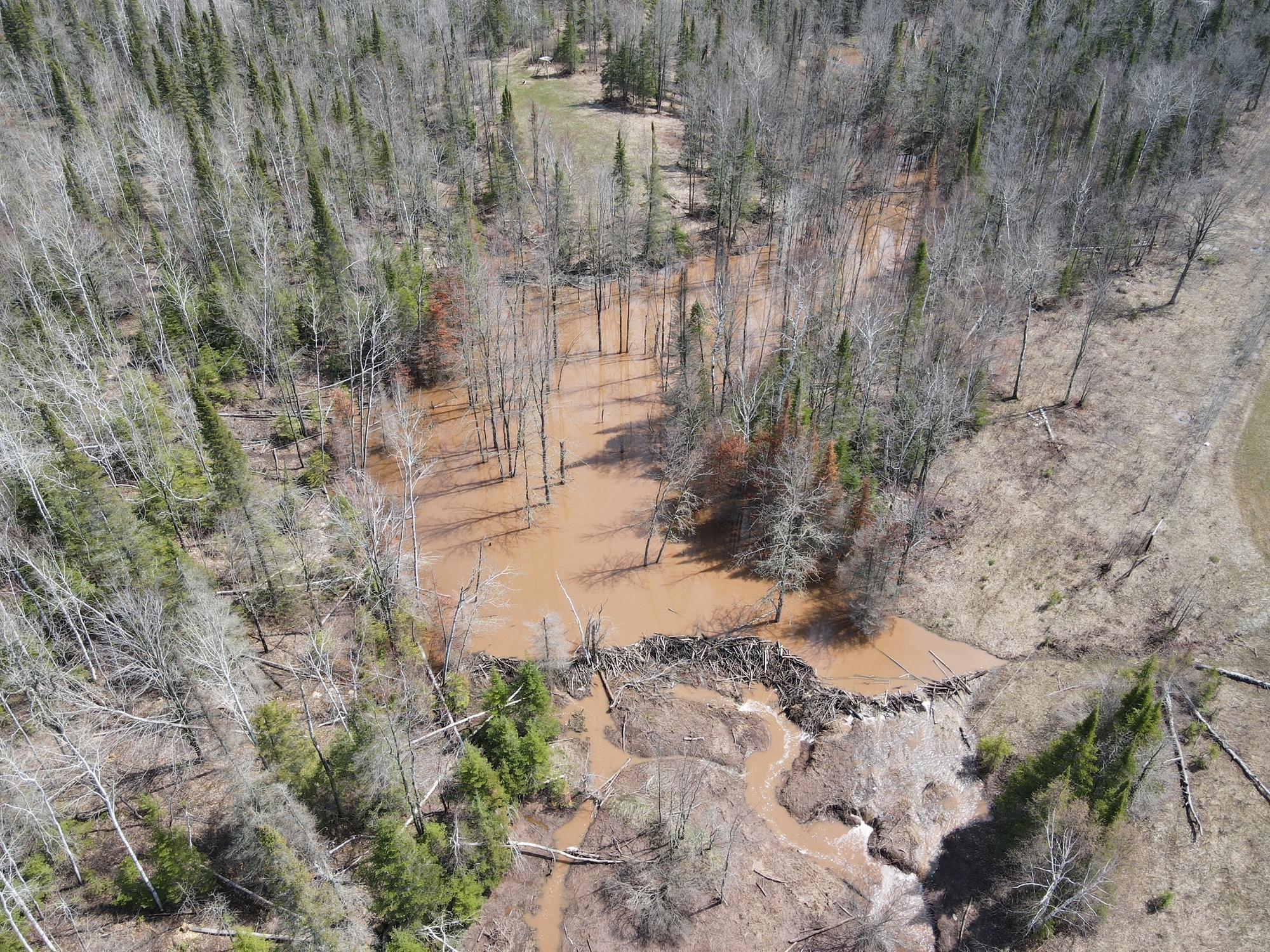 11-tbd Gulley Road Maple, WI 54854 - Photo 26 of 43