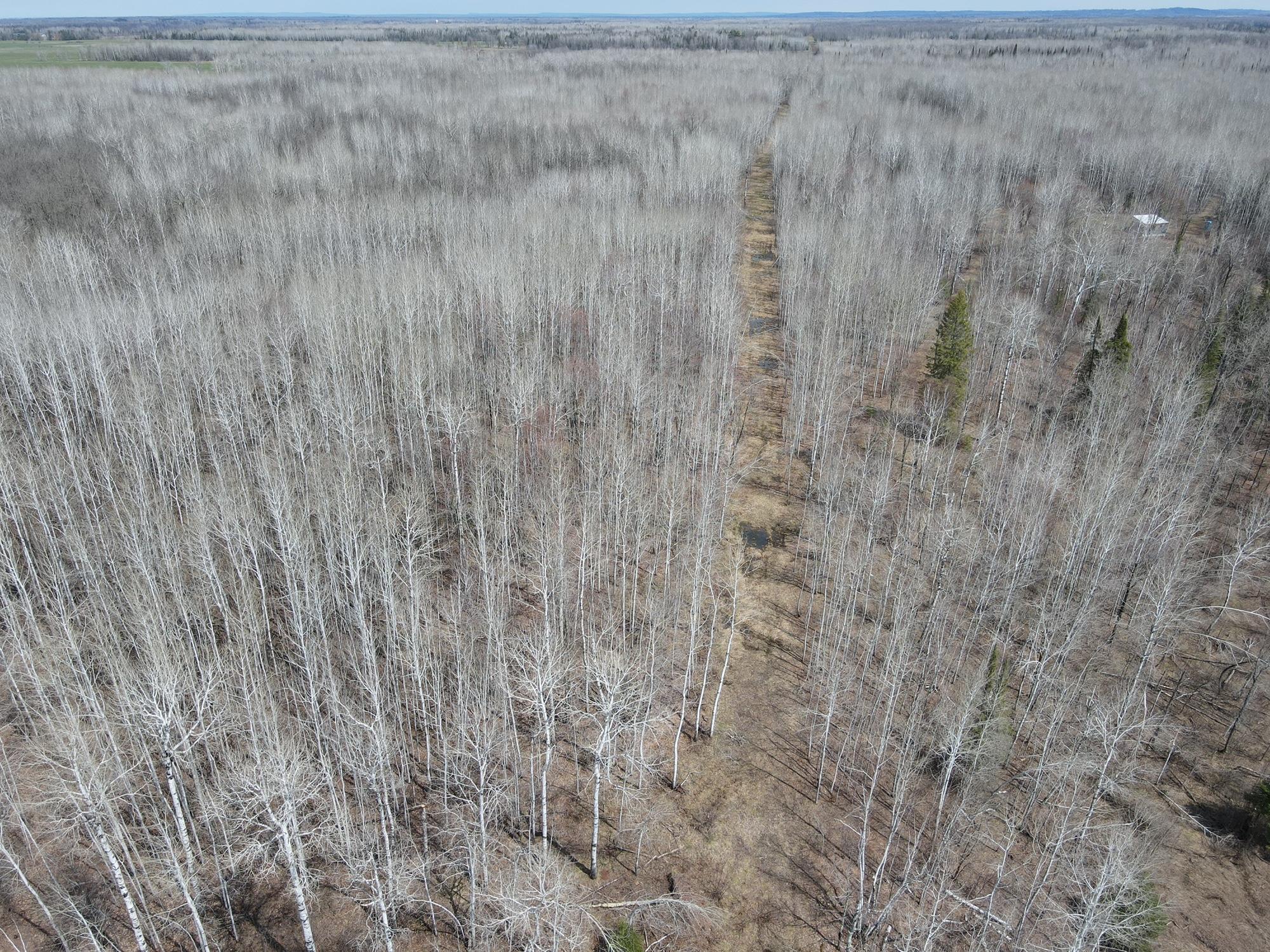 11-tbd Gulley Road Maple, WI 54854 - Photo 29 of 43