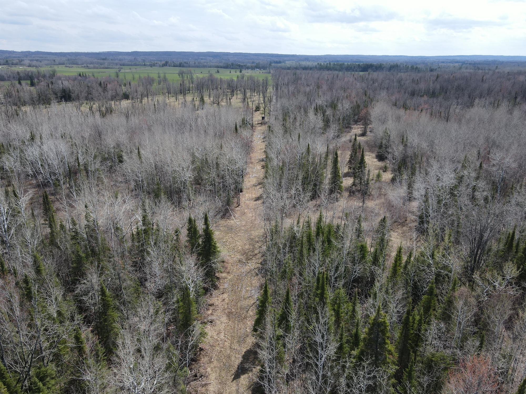 11-tbd Gulley Road Maple, WI 54854 - Photo 35 of 43