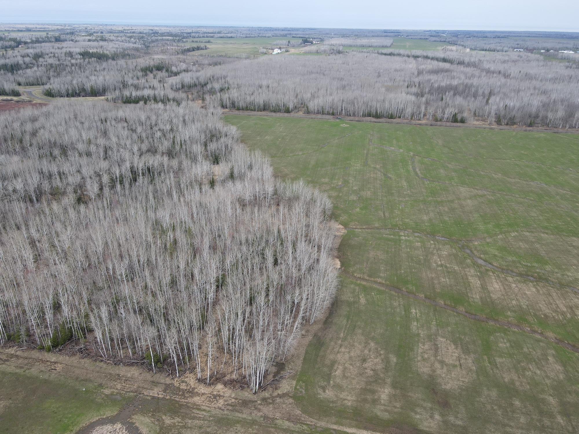 11-tbd Gulley Road Maple, WI 54854 - Photo 4 of 43