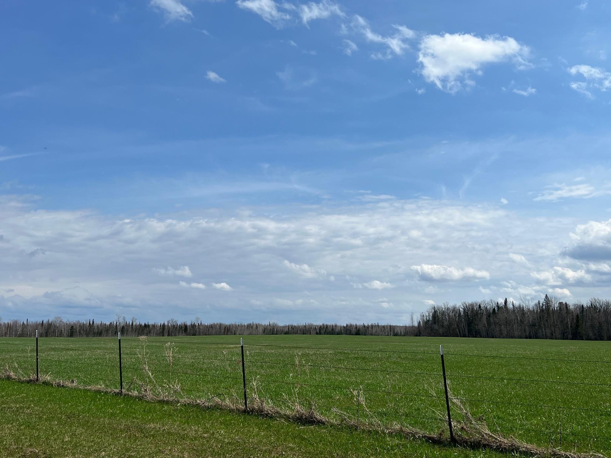 11-tbd Gulley Road Maple, WI 54854 - Photo 5 of 43