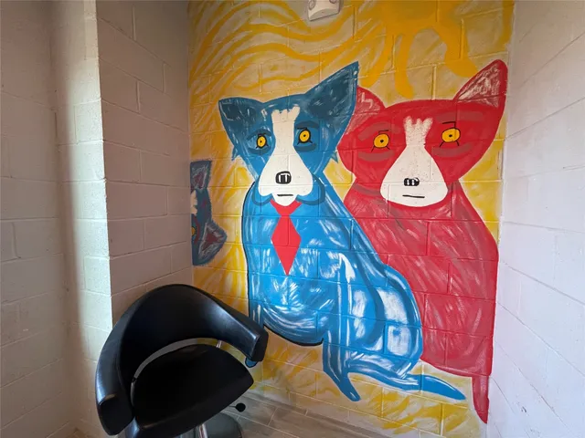 a view of a black and white walls