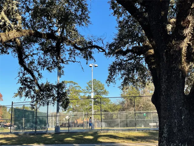 a view of a yard with large trees