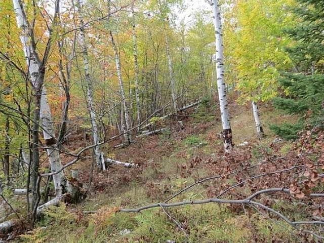On Agony Point Road Presque Isle, WI 54557 - Photo 10 of 15 Gallery Image 10