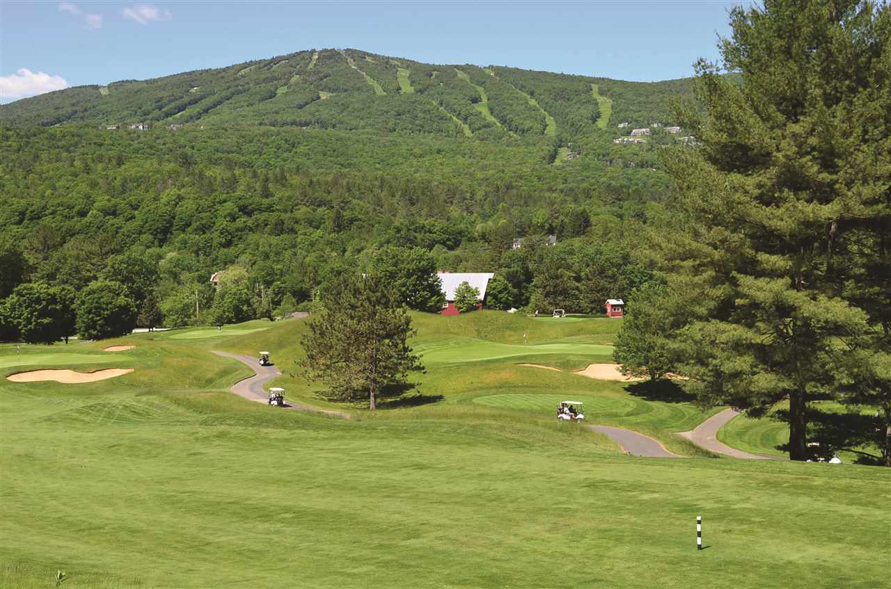 1484 Vermont Rte 100 Ludlow, VT 05149 - Photo 32 of 36
