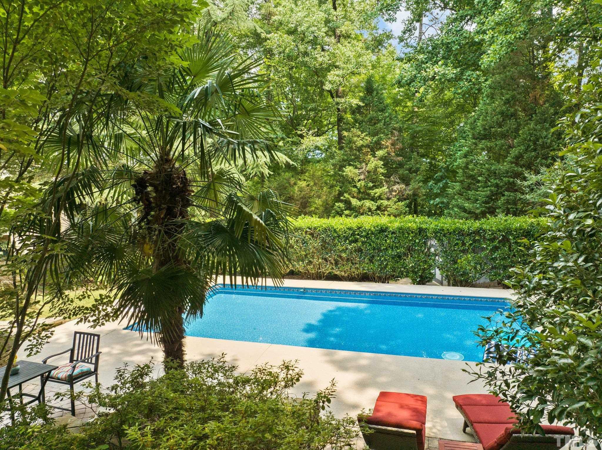 4116 Spruce Drive Raleigh, NC 27612 - Photo 34 of 51 a view of yard with large trees