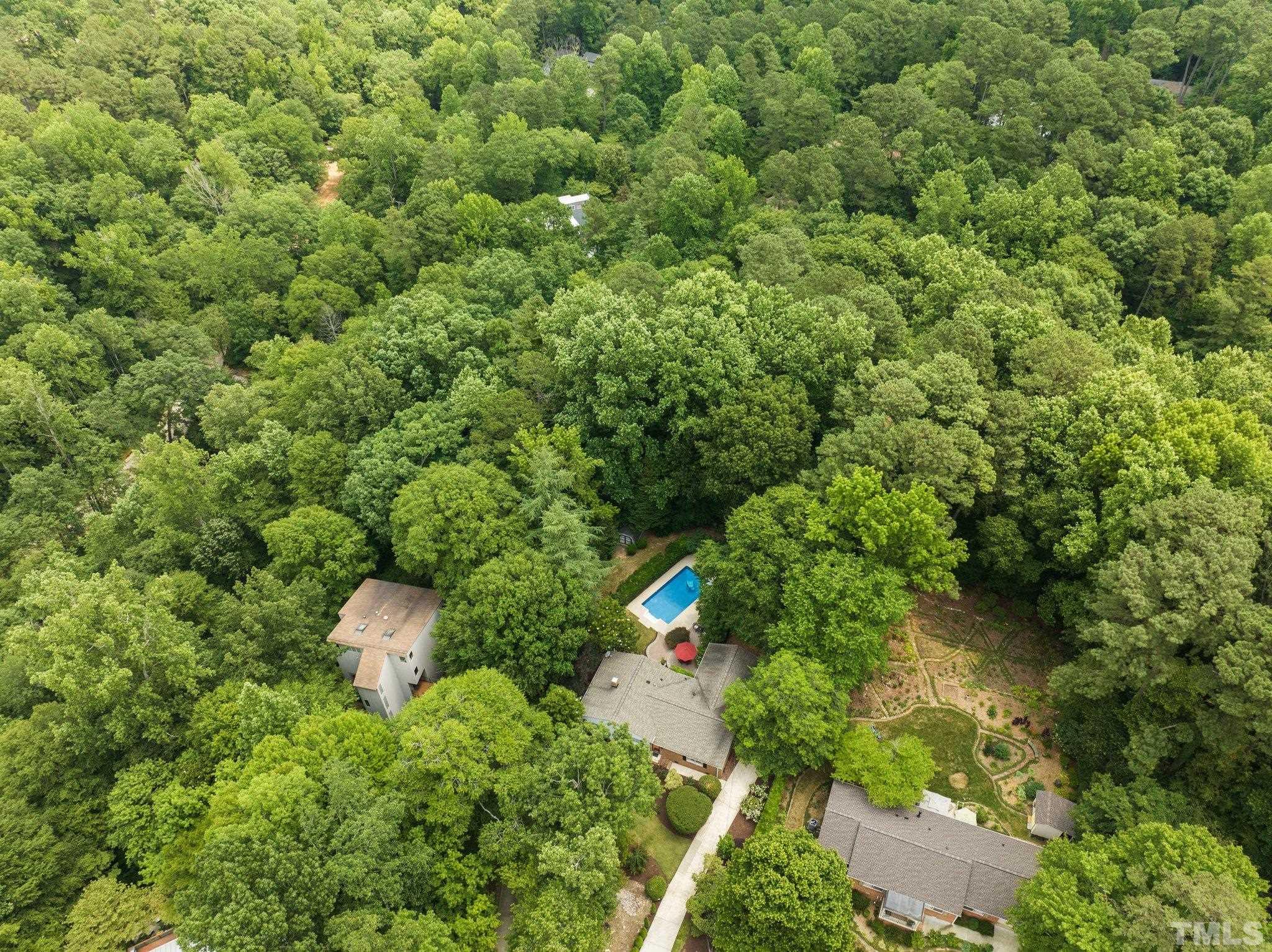 4116 Spruce Drive Raleigh, NC 27612 - Photo 51 of 51 a view of a house with a lush green forest