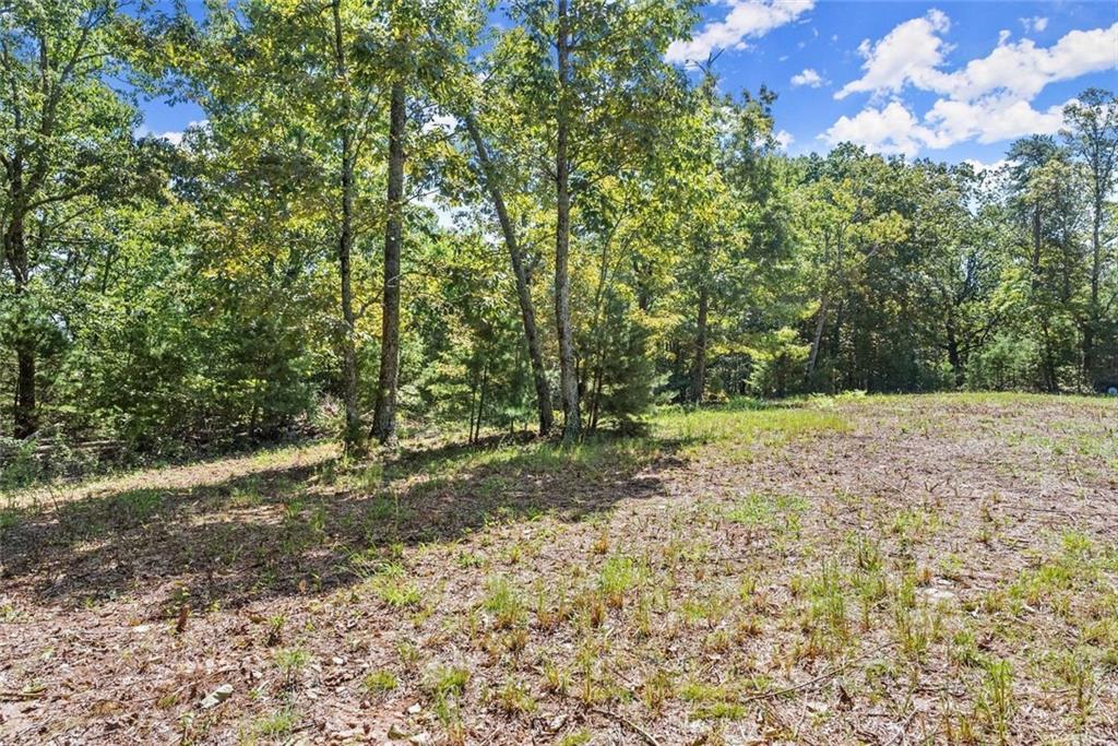 0 Helton Road Cleveland, GA 30528 - Photo 16 of 79 Gallery Image 16