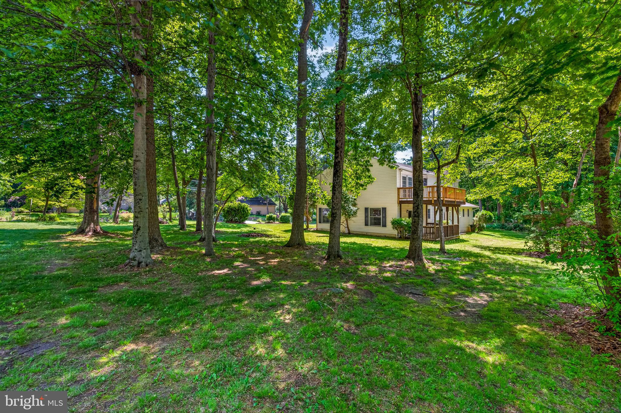 3701 Ebright Road Chadds Ford, PA 19317 - Photo 7 of 45 a view of a park with a tree