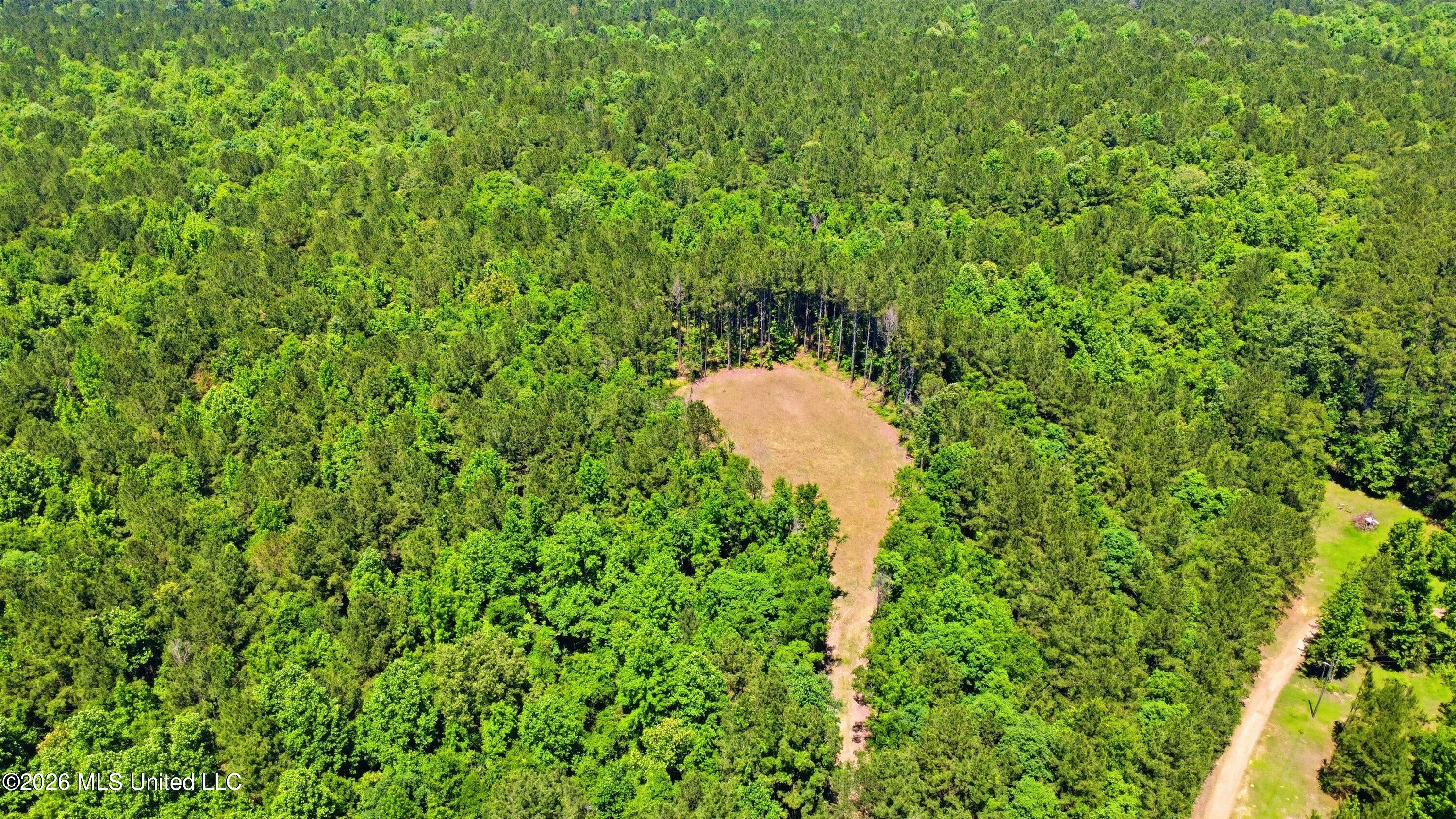 Lake Road Brandon, MS 39042 - Photo 10 of 19 10-Old_Lake_Rd_Drone_010