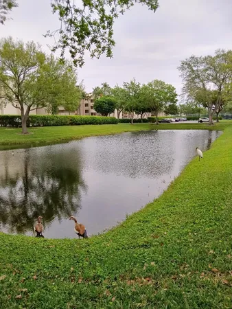 $3,000 | 5749 Camino Del Sol, Unit 202, Boca Raton, FL 33433