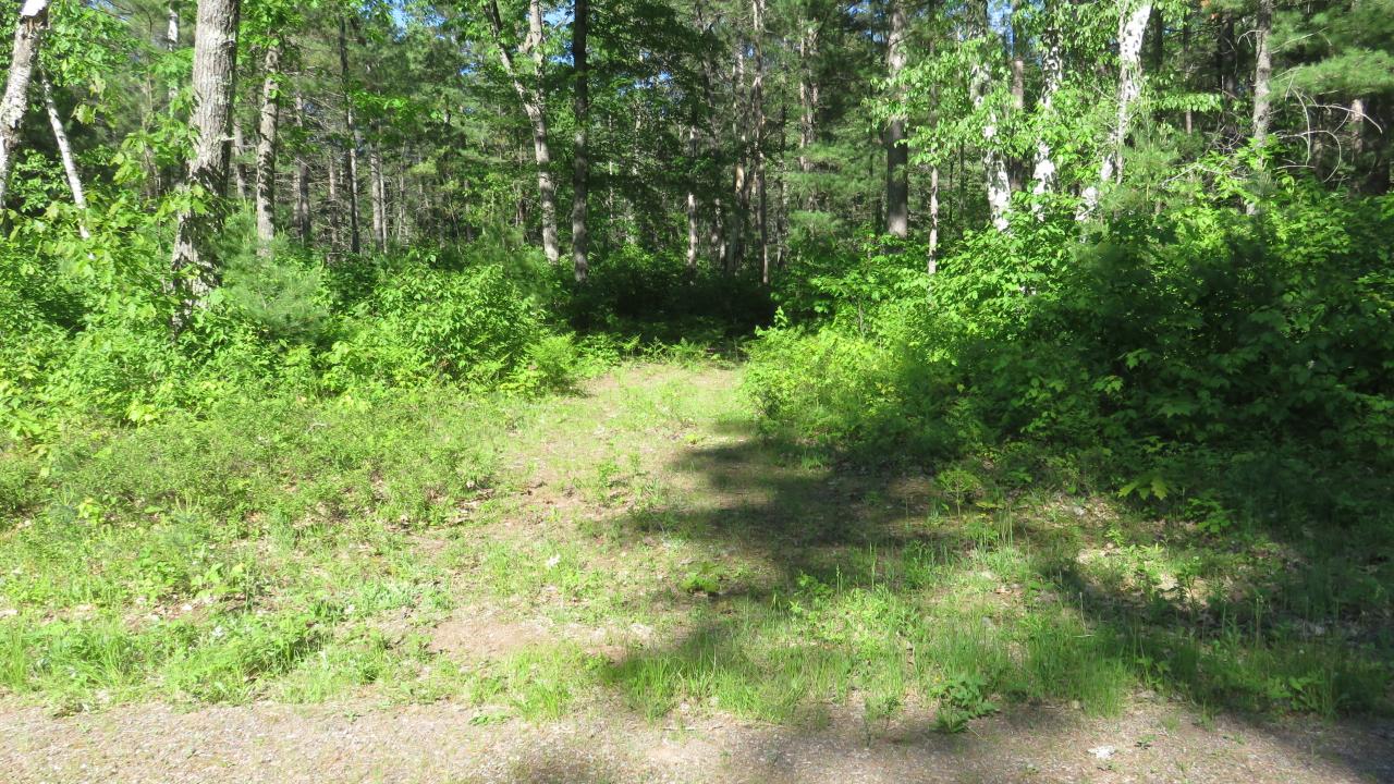 Lot 5 Shadow Lake Road Manitowish Waters, WI 54545 - Photo 15 of 18 Gallery Image 15