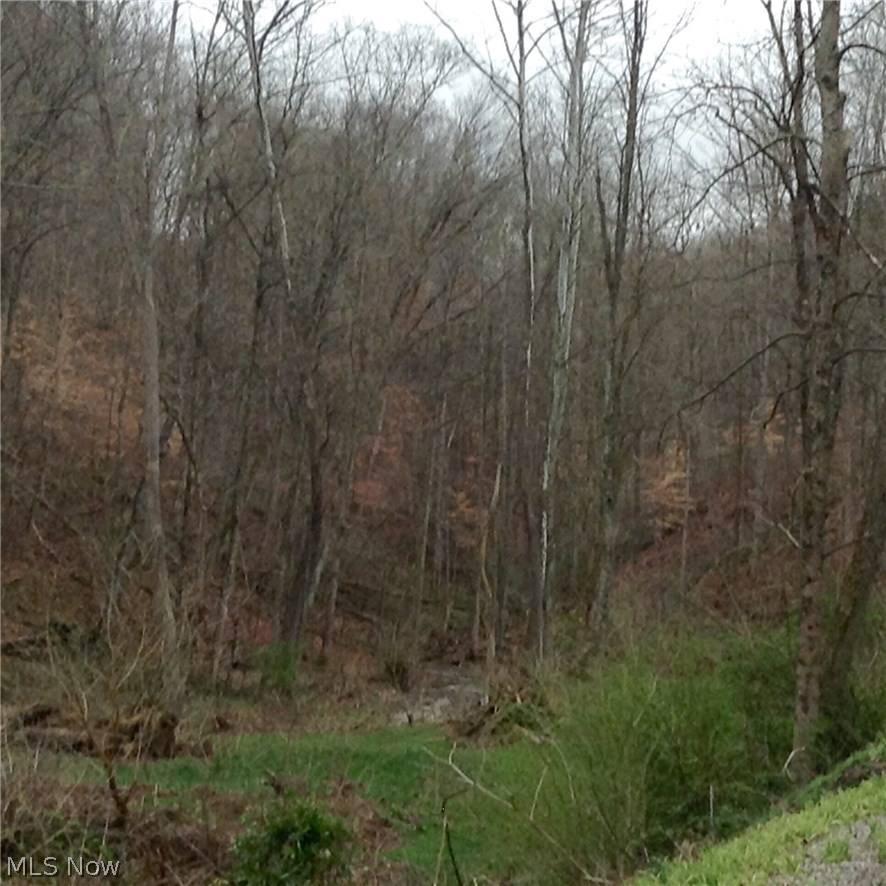 4100 East River Road Stockport, OH 43787 - Photo 10 of 34 Gallery Image 10