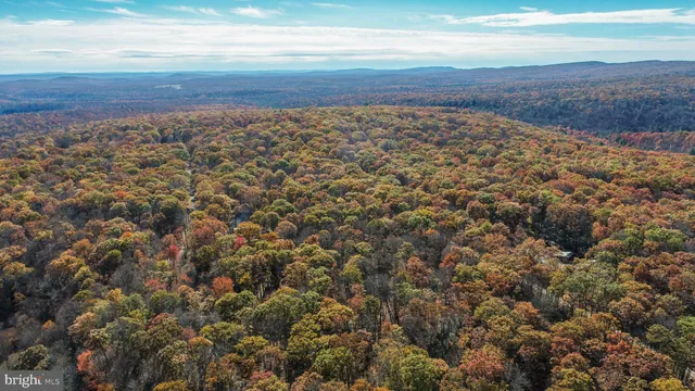a view of yard with wooden floor