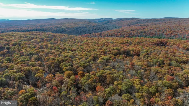 an aerial view of residential house and green space