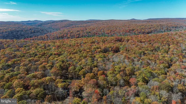 an aerial view of residential house and green space