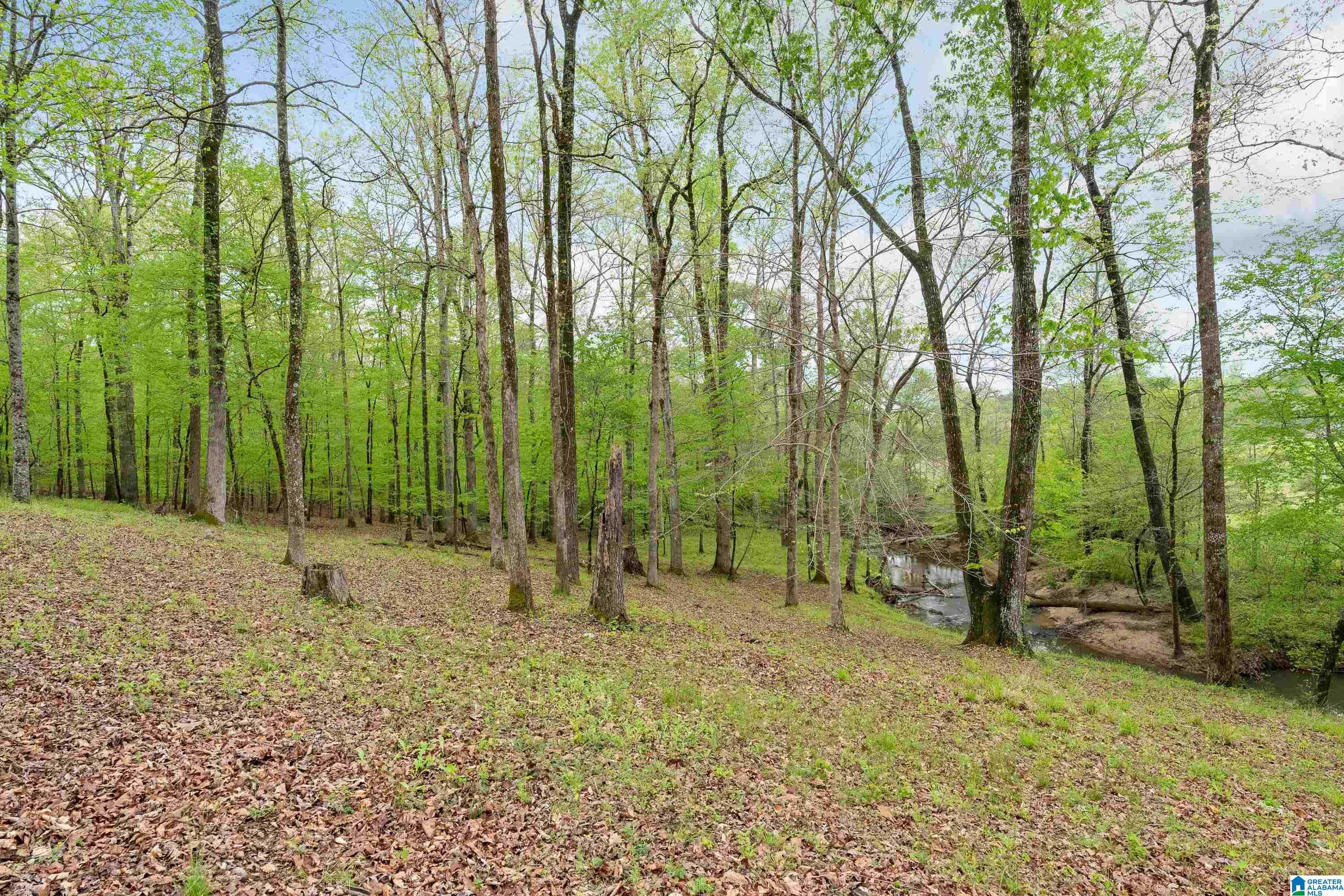 3110 Highway 69 Chelsea, AL 35043 - Photo 32 of 36