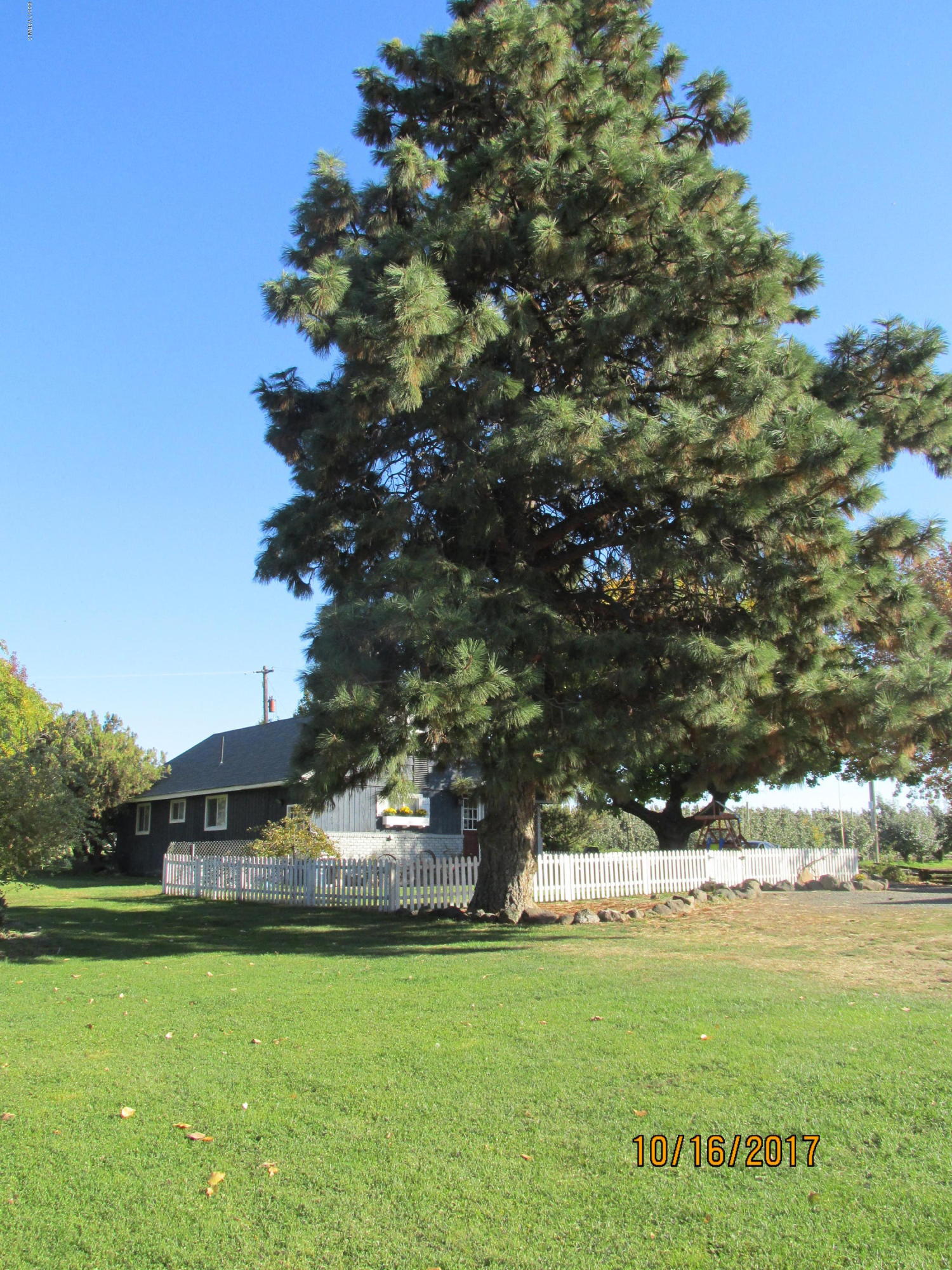 1172 North Cowiche Road Tieton, WA 98947 - Photo 27 of 46 a view of a green field
