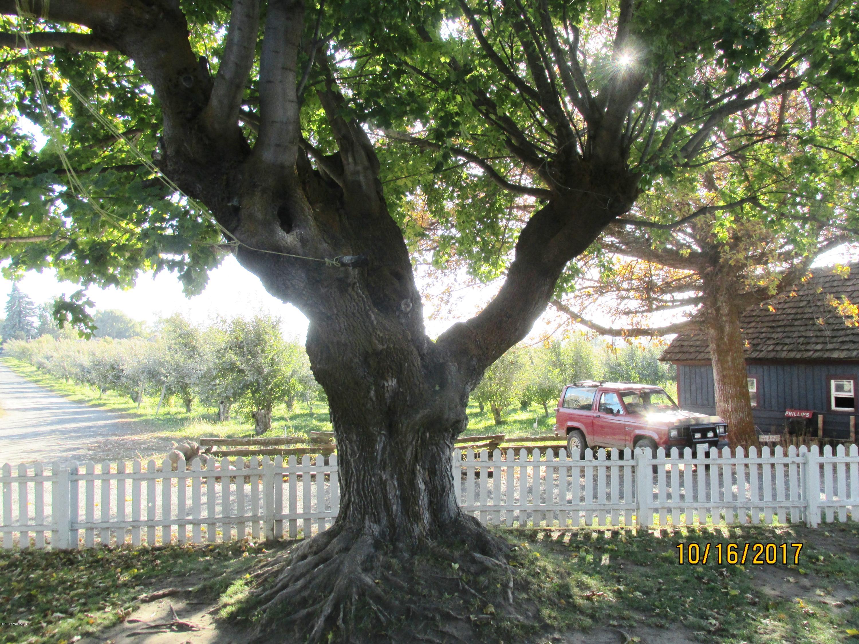 1172 North Cowiche Road Tieton, WA 98947 - Photo 34 of 46 a view of a park with a tree in the yard