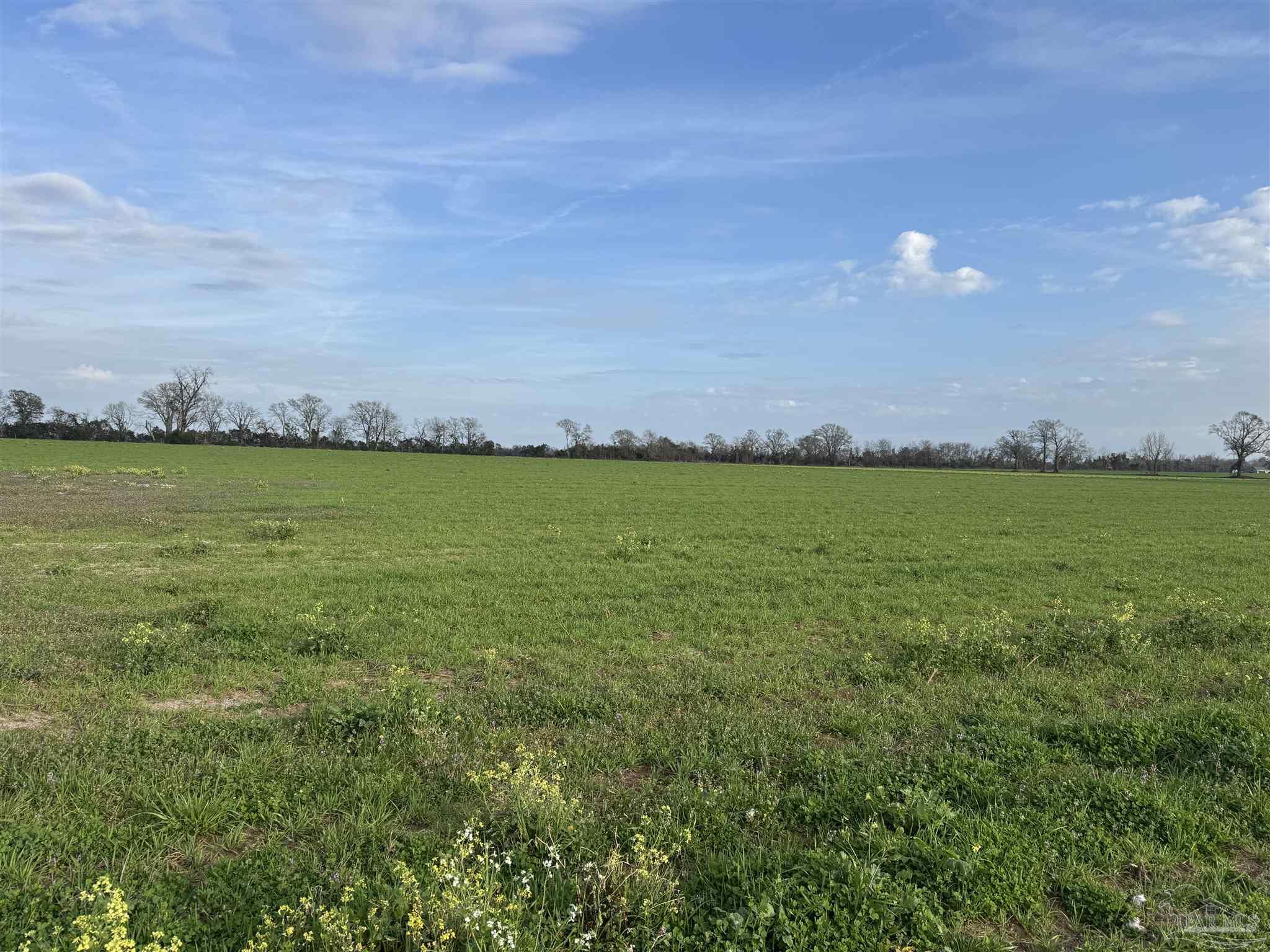 a view of an ocean and beach