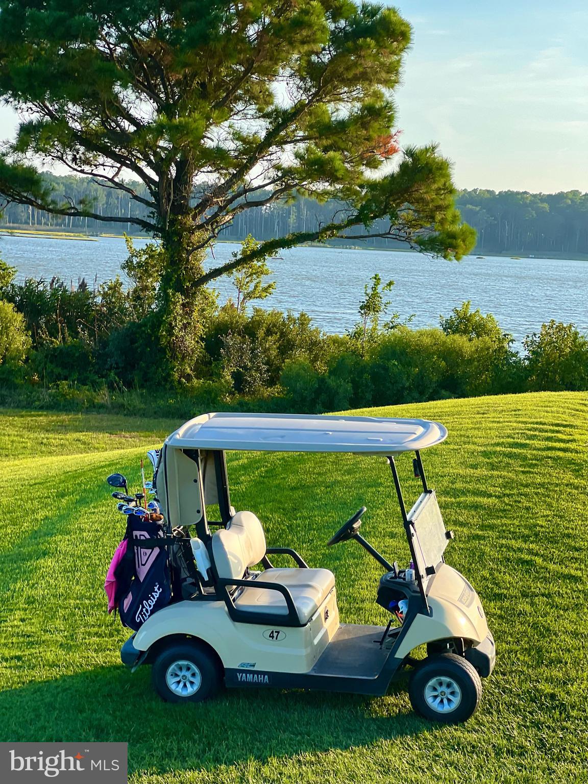 12623 Shell Mill Road, Unit 67 Bishopville, MD 21813 - Photo 19 of 22 a view of a two chairs in the garden