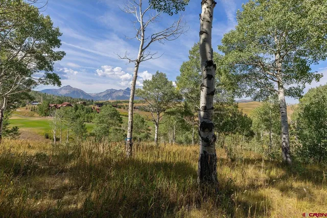 a view of lake from a yard