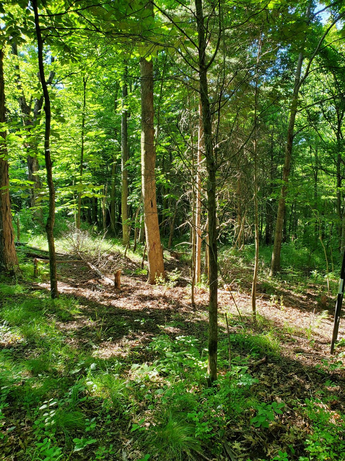9768 Scotts Ridge Road Rising Sun, IN 47040 - Photo 13 of 18 Gallery Image 13