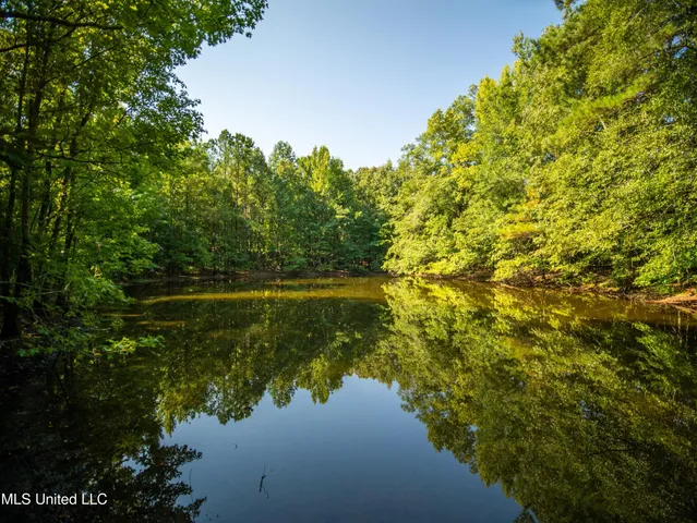 $777,600 | 0 Phillips Road, Lexington, MS 39095