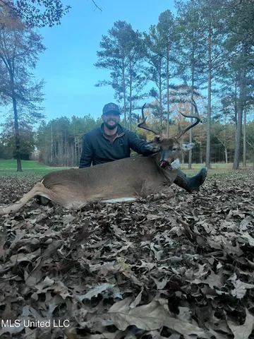 $777,600 | 0 Phillips Road, Lexington, MS 39095