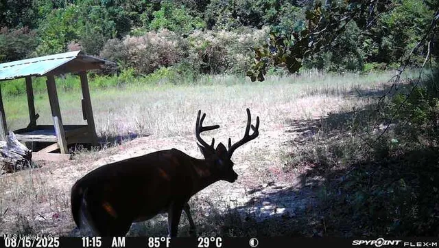 $777,600 | 0 Phillips Road, Lexington, MS 39095