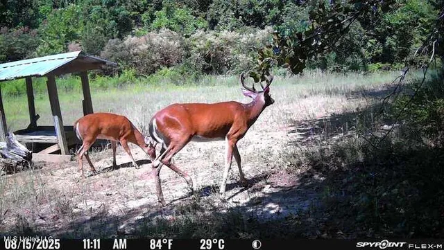 $777,600 | 0 Phillips Road, Lexington, MS 39095