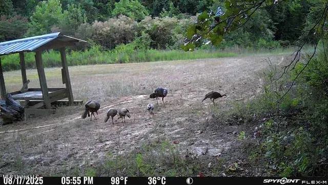 $777,600 | 0 Phillips Road, Lexington, MS 39095