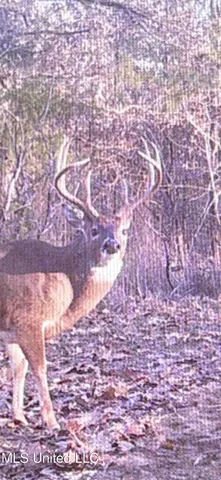 $777,600 | 0 Phillips Road, Lexington, MS 39095