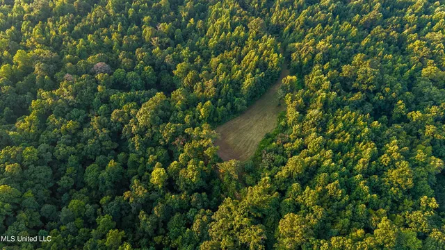 $777,600 | 0 Phillips Road, Lexington, MS 39095