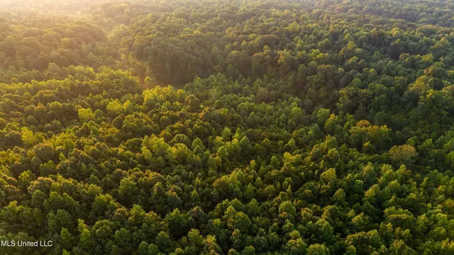 $777,600 | 0 Phillips Road, Lexington, MS 39095