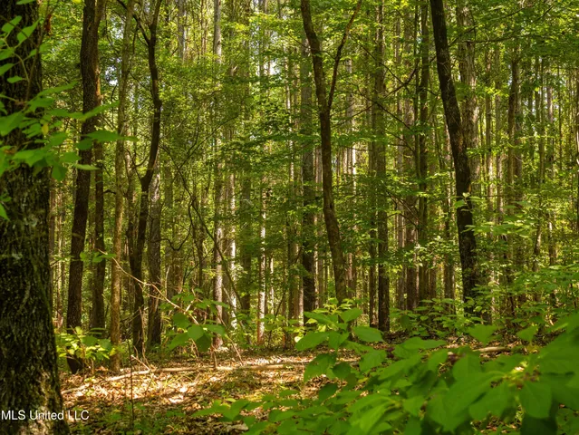 $777,600 | 0 Phillips Road, Lexington, MS 39095