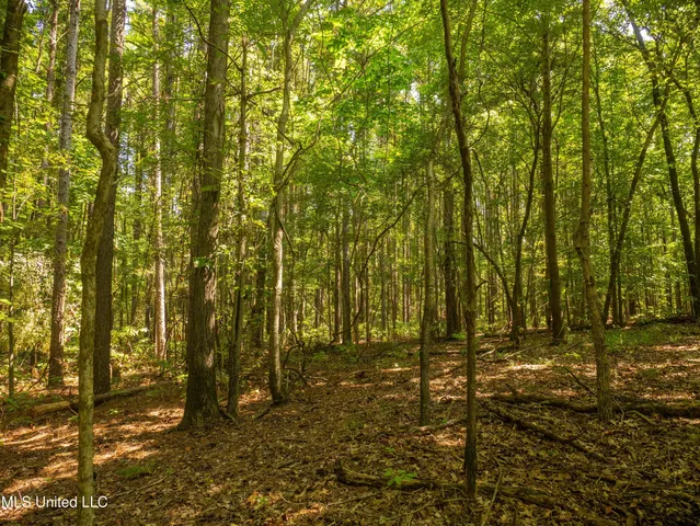 $777,600 | 0 Phillips Road, Lexington, MS 39095