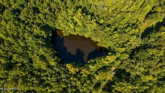 $777,600 | 0 Phillips Road, Lexington, MS 39095