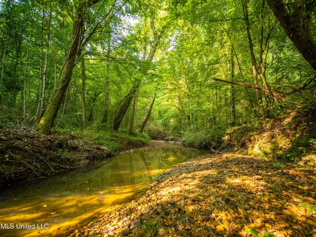 $777,600 | 0 Phillips Road, Lexington, MS 39095