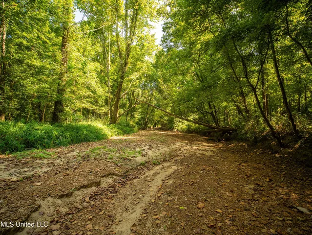 $777,600 | 0 Phillips Road, Lexington, MS 39095