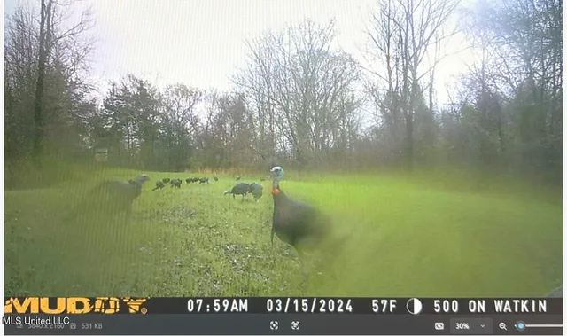 $777,600 | 0 Phillips Road, Lexington, MS 39095