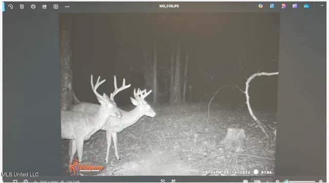 $777,600 | 0 Phillips Road, Lexington, MS 39095