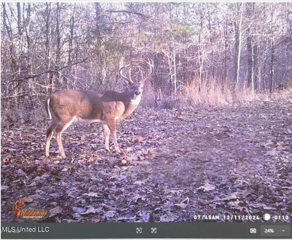 $777,600 | 0 Phillips Road, Lexington, MS 39095