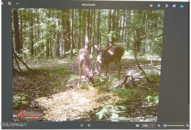 $777,600 | 0 Phillips Road, Lexington, MS 39095