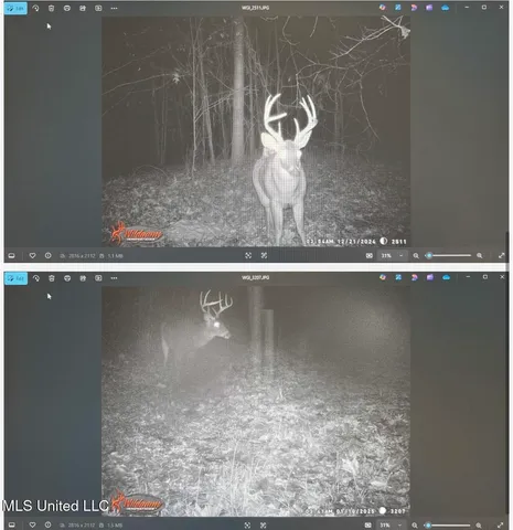 $777,600 | 0 Phillips Road, Lexington, MS 39095