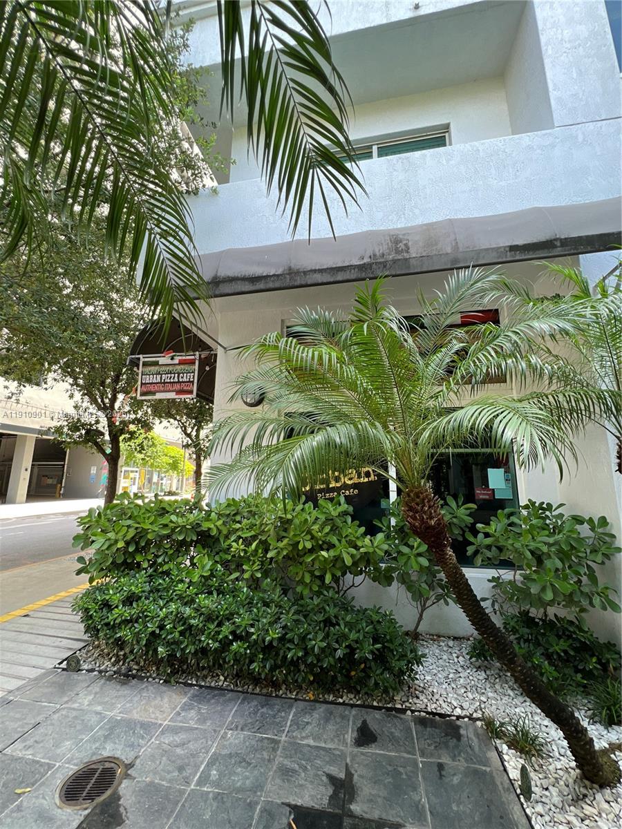 234 Northeast 3rd Street, Unit 1908 Miami, FL 33132 - Photo 14 of 15 a close up of a plant in a garden