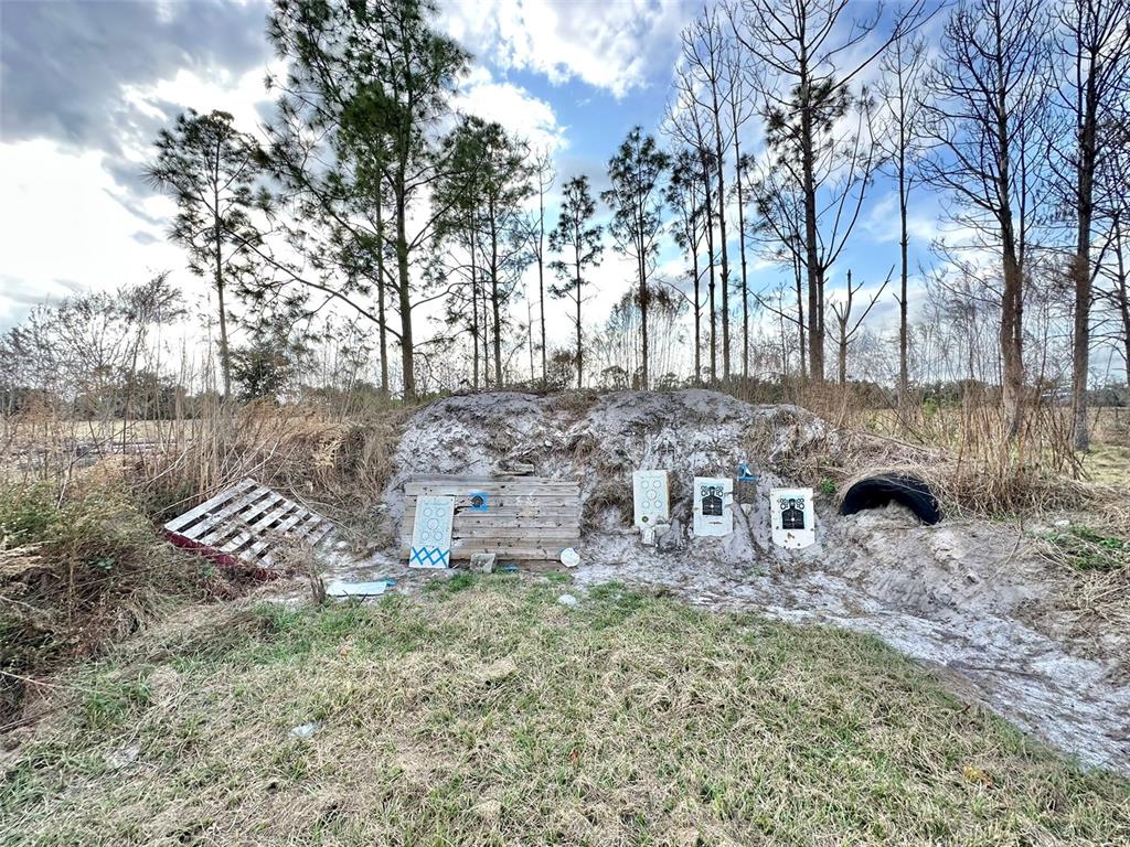 14780 Sugarbowl Road Myakka City, FL 34251 - Photo 16 of 53 a view of a yard with large tree