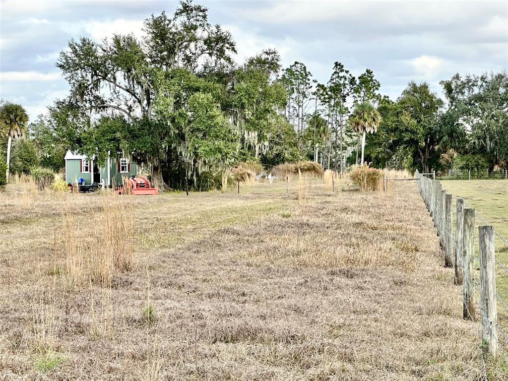14780 Sugarbowl Road Myakka City, FL 34251 - Photo 18 of 53 a view of a yard with trees