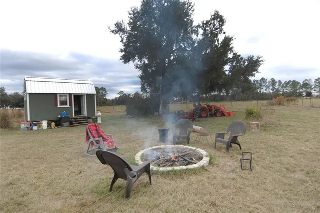 a view of a yard with a tree